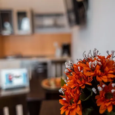 Apartament Zielone Tarasy *